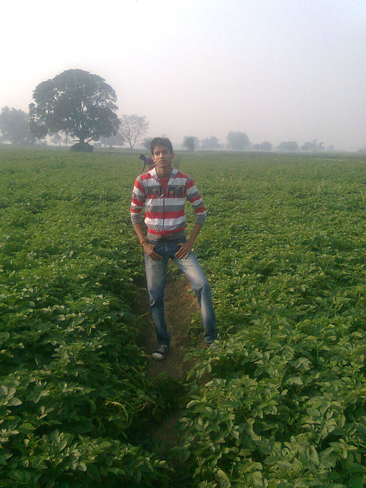 wonderful morning time in a village 